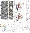 Extended Data Fig. 6 |