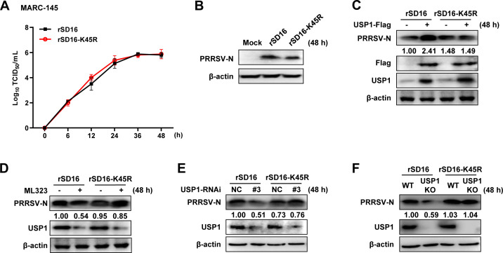 Fig 8