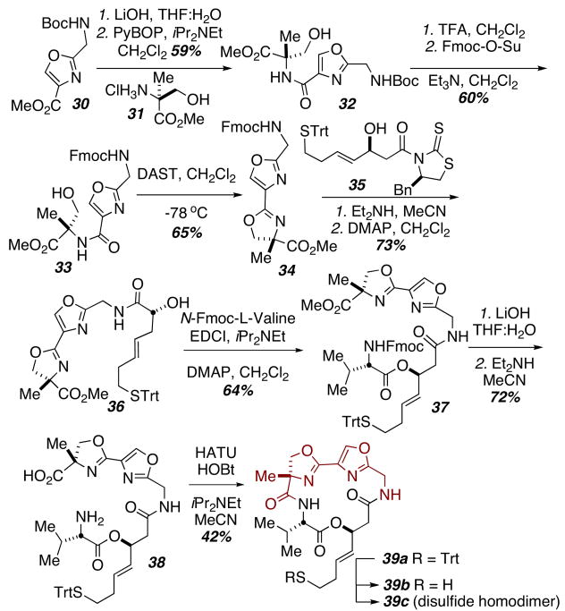 Scheme 5