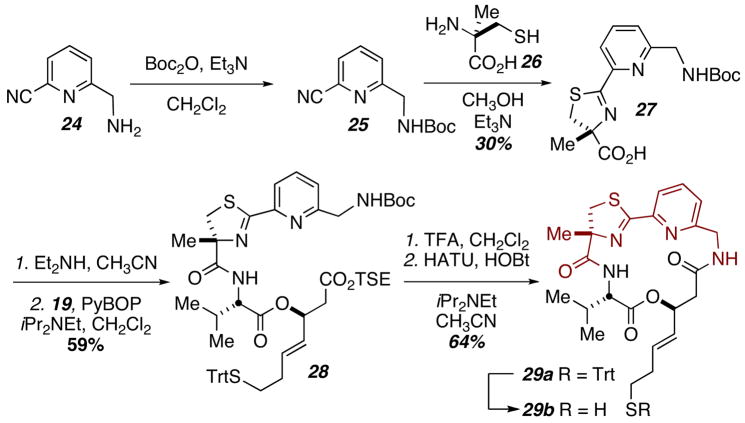 Scheme 4