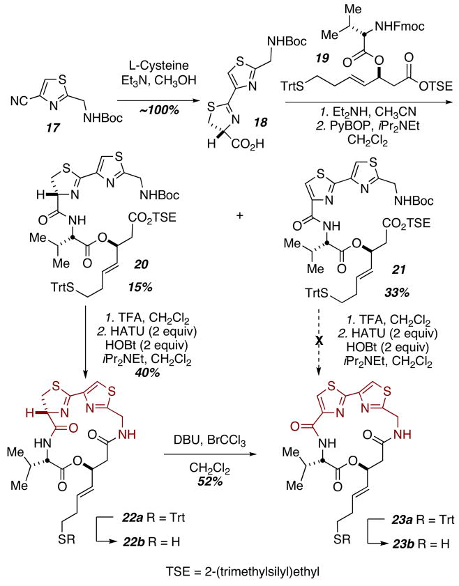 Scheme 3