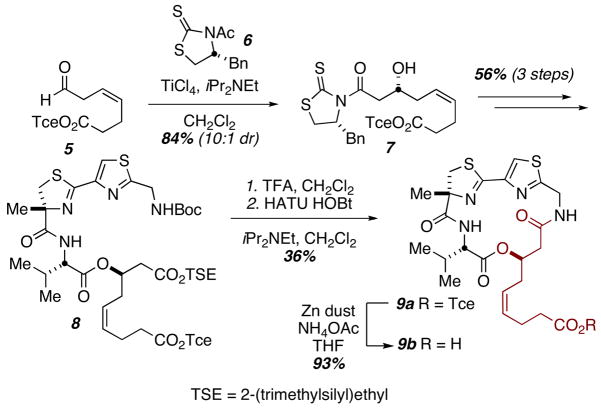 Scheme 1