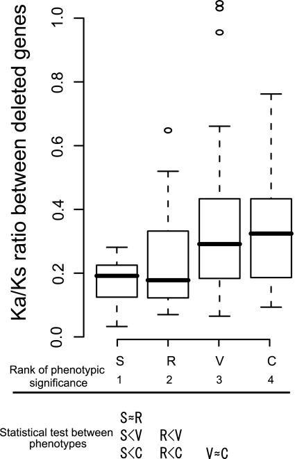 FIG. 4.—