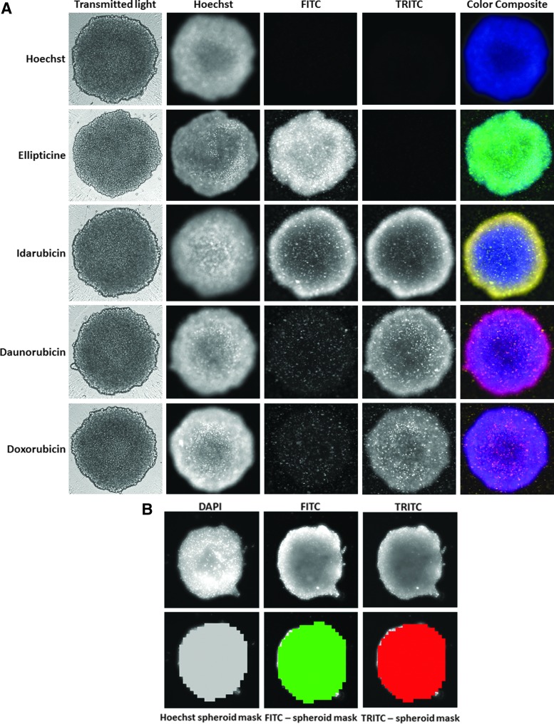 Fig. 4.