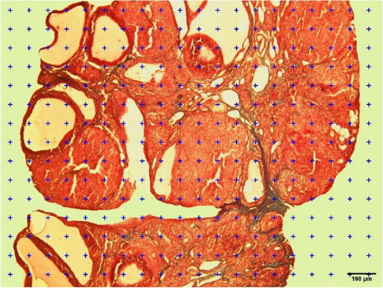 Fig. 10
