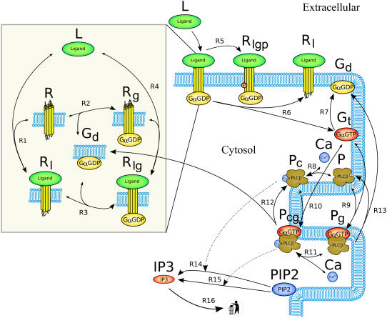 FIGURE 1