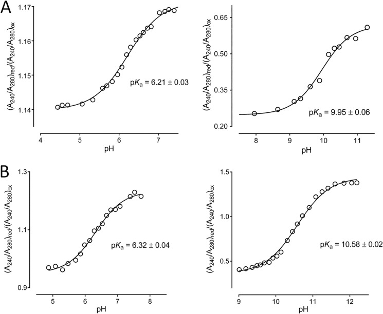 FIGURE 10.