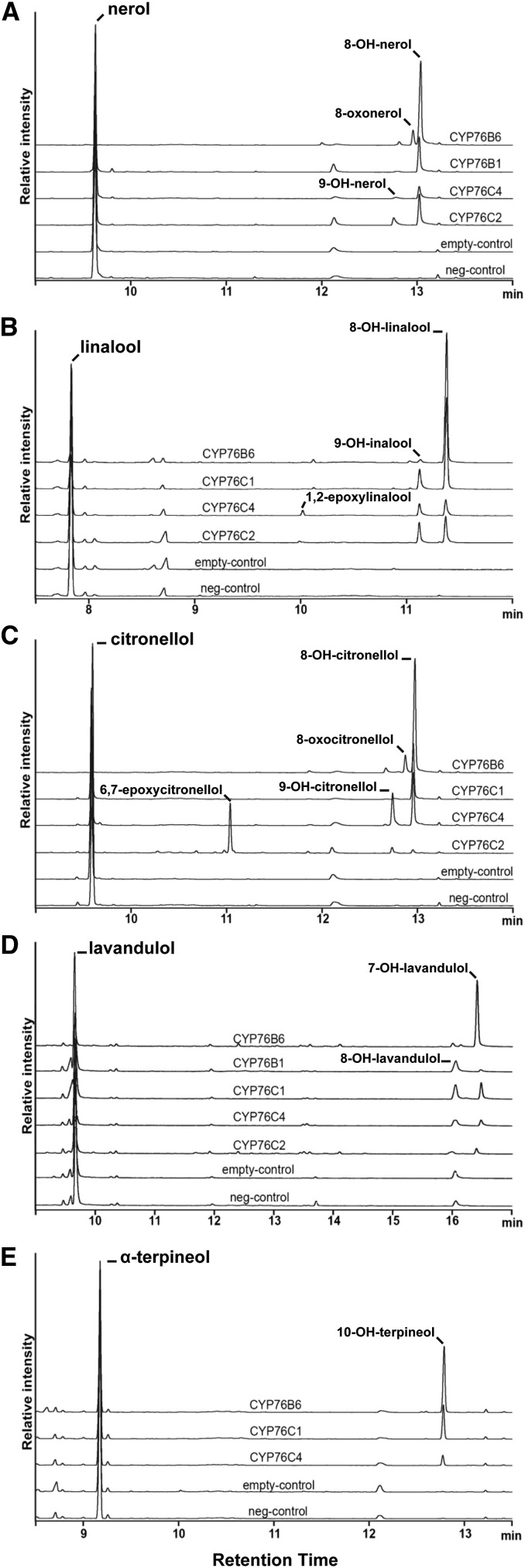 Figure 3.