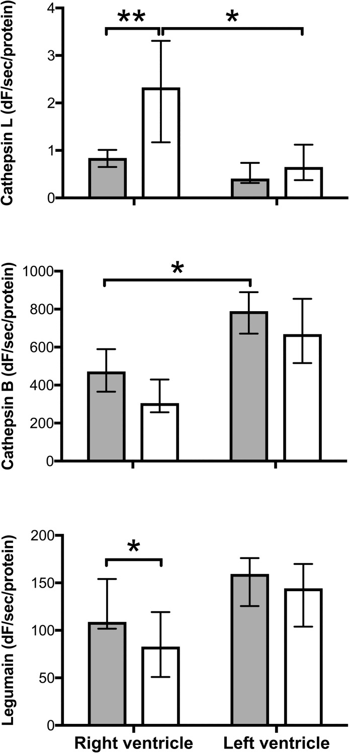 Fig 5