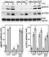 Fig. 9.