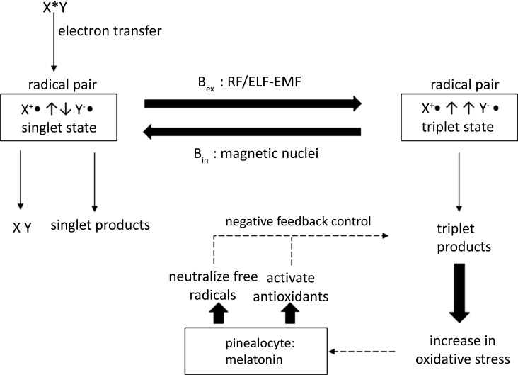 Fig. (1)