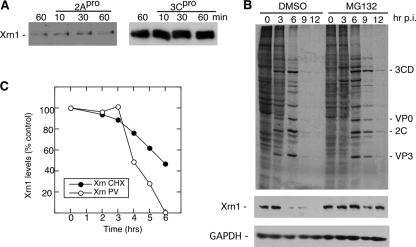 FIG. 5.