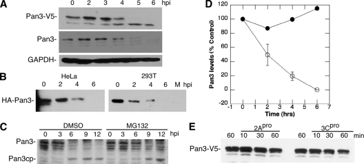 FIG. 8.