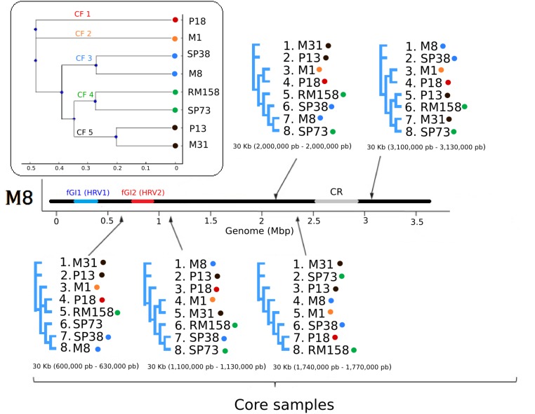 FIGURE 3