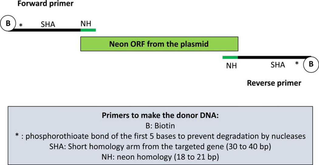 Figure 2: