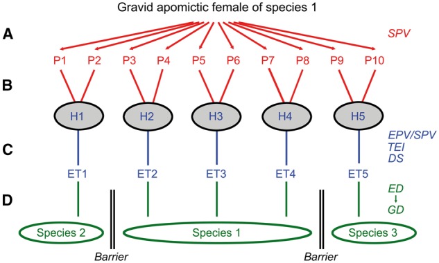 Figure 7