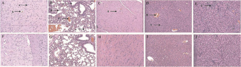 Figure 5