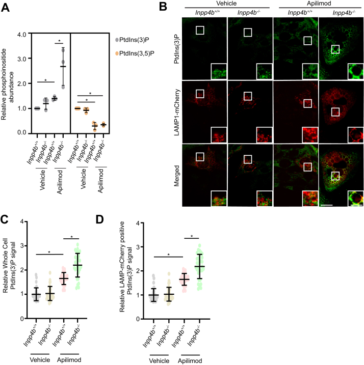 Figure 6