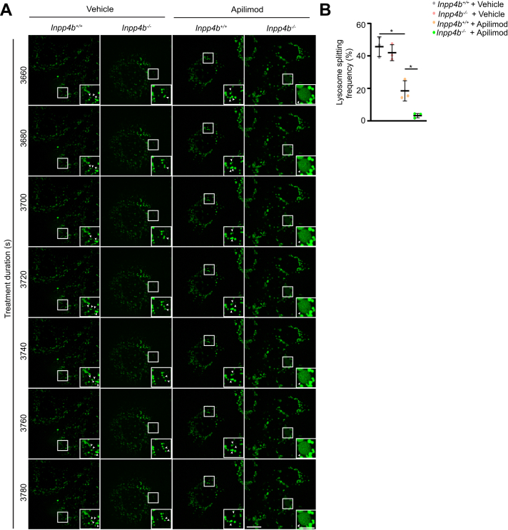 Figure 3