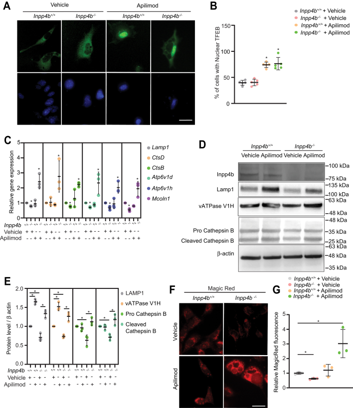 Figure 4