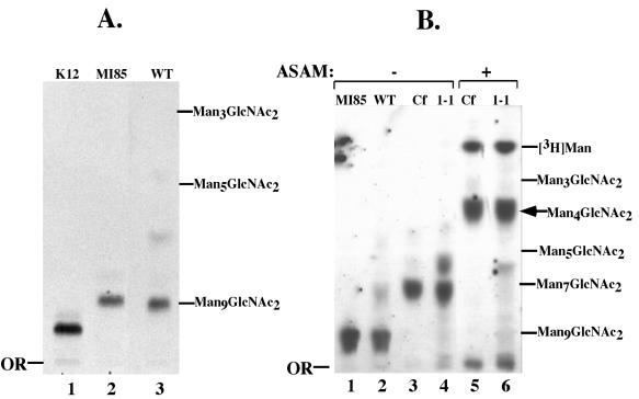 FIG. 5.