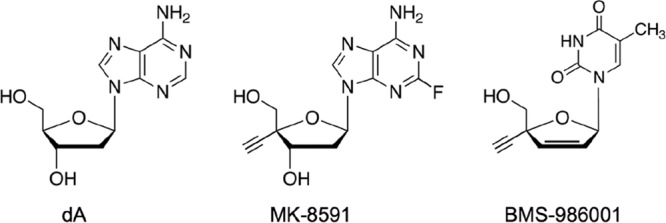 FIG 1