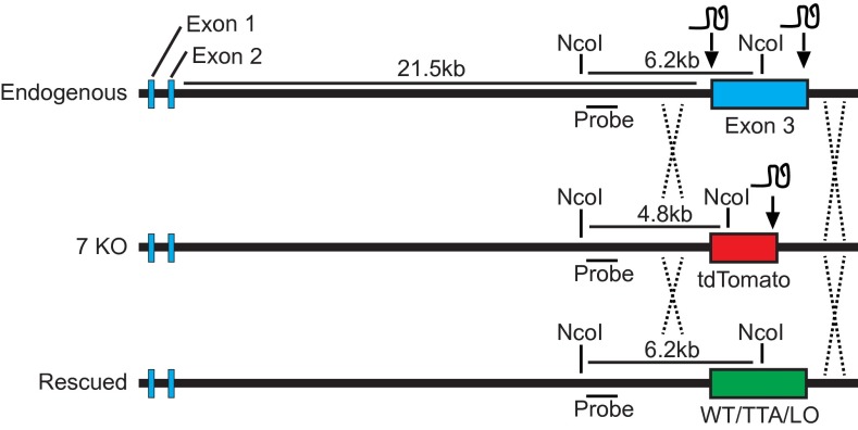 Fig. S2.