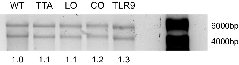 Fig. S4.