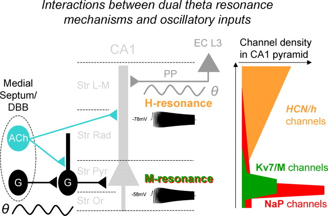 Figure 9.