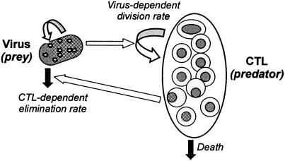 FIG. 4.