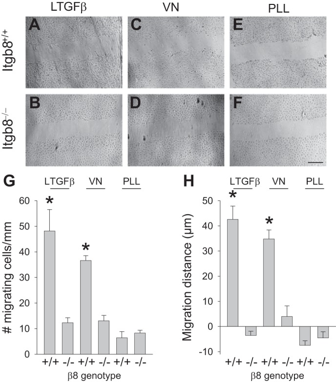 Fig. 8.