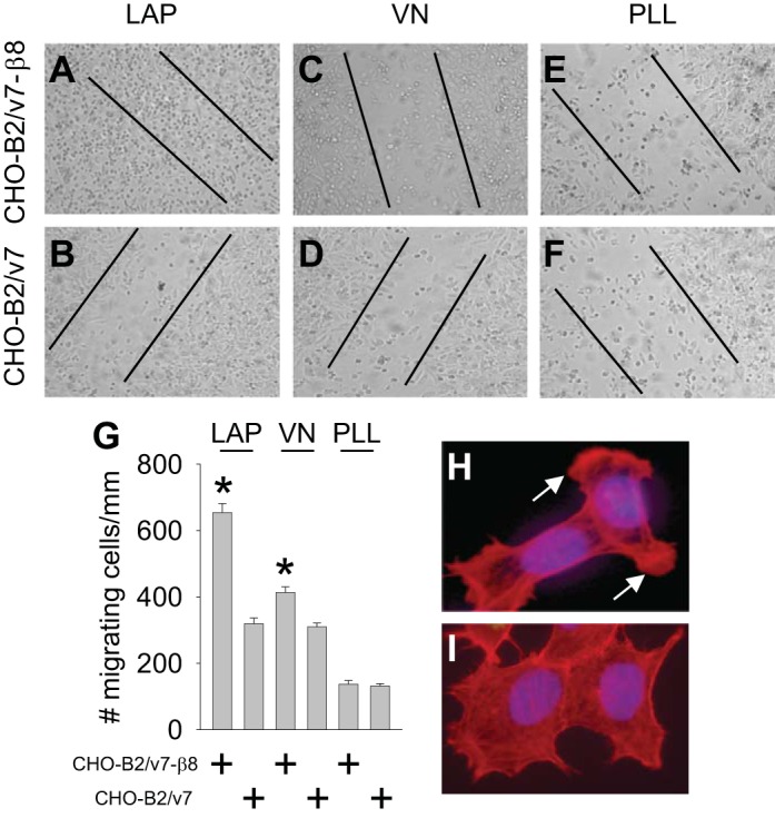 Fig. 9.