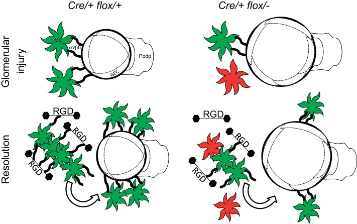 Fig. 10.