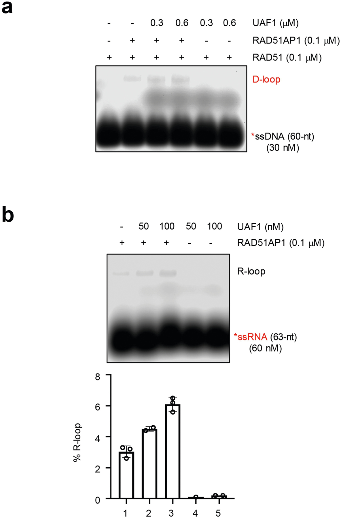 Extended Data Fig. 9 |