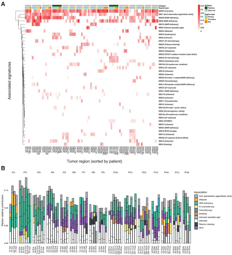 Figure 2. SNV mutational signature analysis. A, Heatmap of previously established SNV mutational signatures contributing to the mutational spectra of each tumor region across all patients. The median values of 100 bootstrap replicates are displayed. B, Contribution of previously established SNV mutational signatures to the mutational spectra of each region across all patients. Included signatures are restricted to those with a nonzero median contribution across 100 bootstrap replicates.