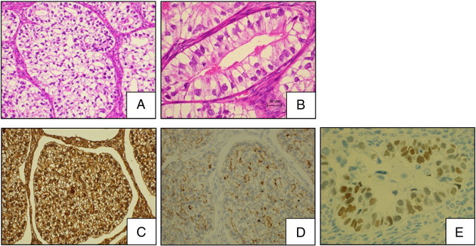 Fig. 2