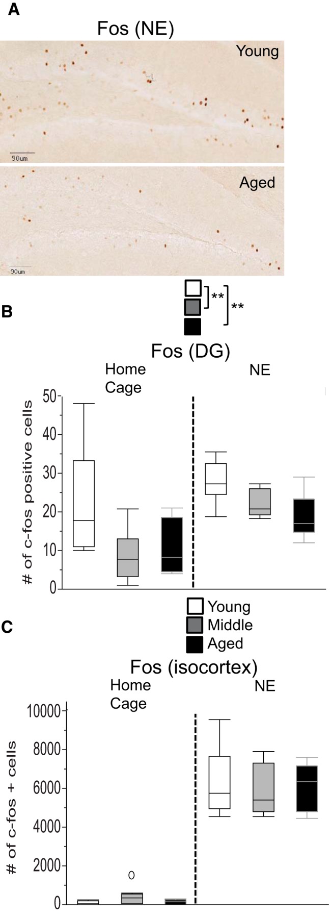 Figure 9.