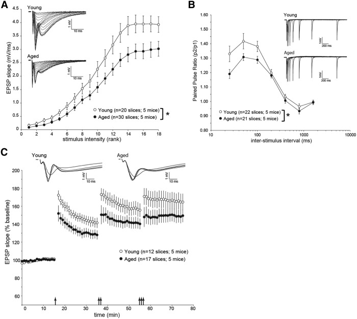 Figure 10.