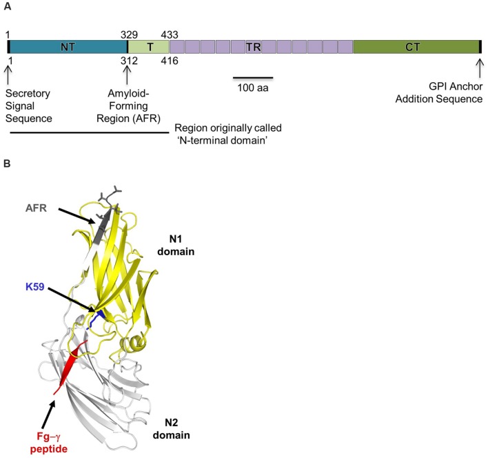 FIGURE 1