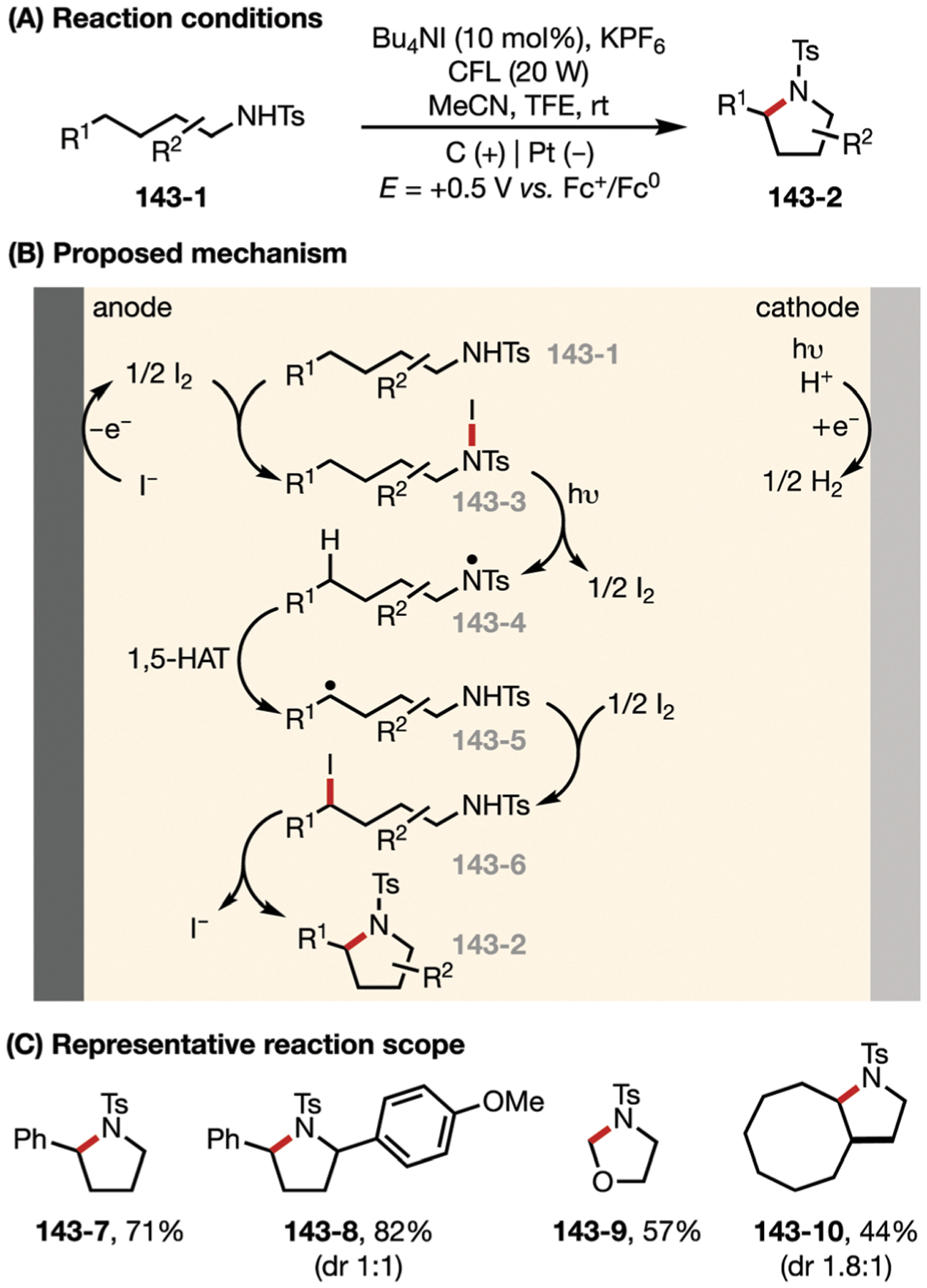 Fig. 143