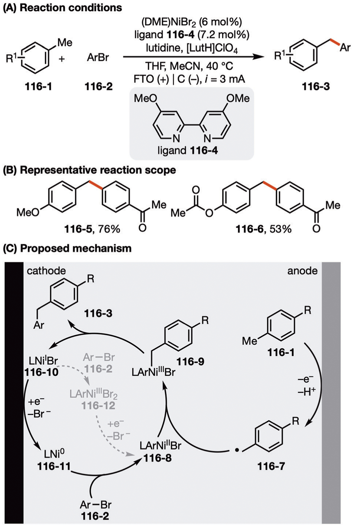 Fig. 116