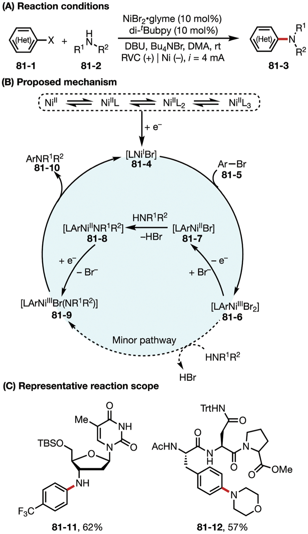 Fig. 81