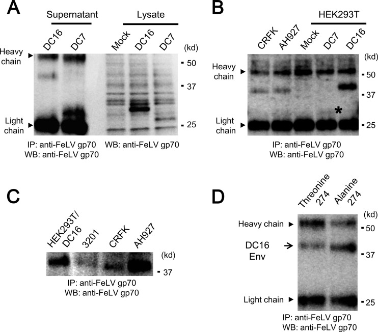 Fig 9