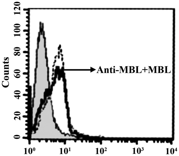 Figure 7.