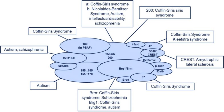 Fig. 2