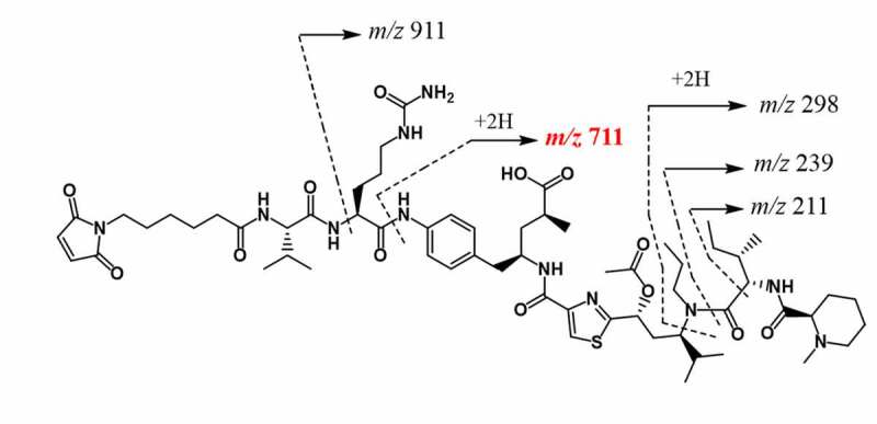 Figure 3.