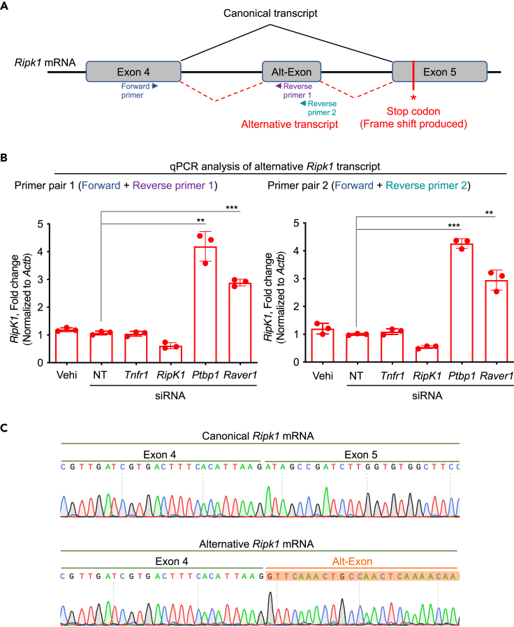 Figure 4