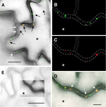 Figure 9.