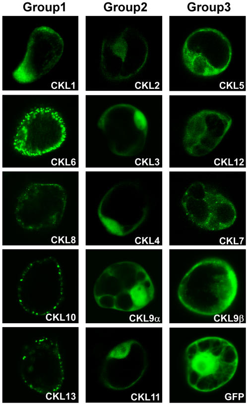 Figure 6.