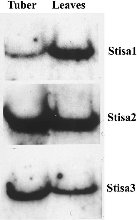 Figure 3.